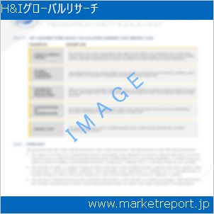 市場と産業調査レポートのイメージ